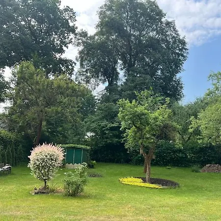 ヴィラ Einfamilienhaus Mit Garten ファルケンゼー